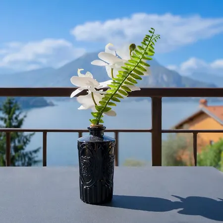 Varenna - View - With Parking And Wifi Fiumelatte